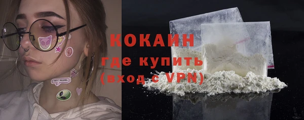 мескалин Богородицк