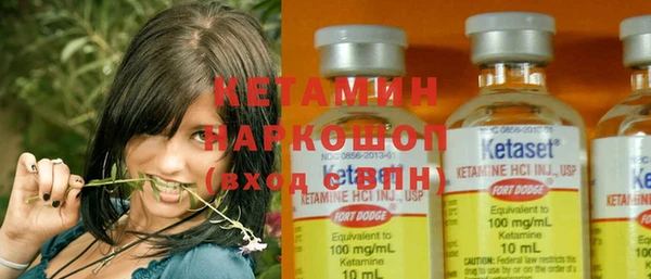 стаф Шадринск
