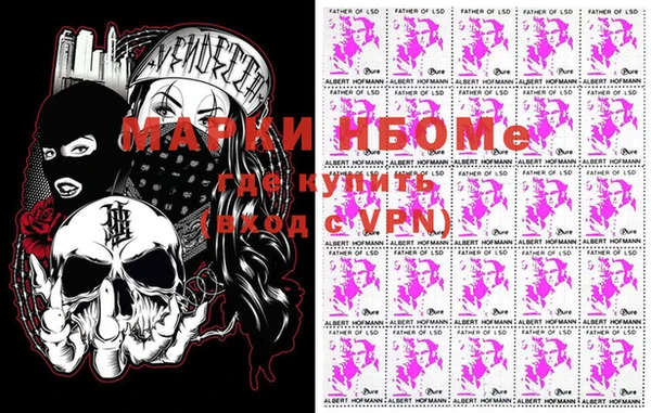 стаф Шадринск